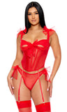 Unwrap Me Mesh Bow Detail Bustier Lingerie Set